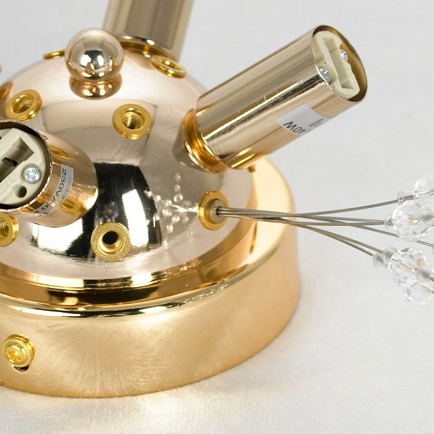 Потолочная люстра Lussole Loft Davie LSP-8781 Фото № 4