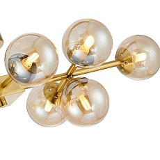 Потолочная люстра Favourite Varietas 2649-10U 4