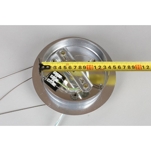 Подвесная люстра Aployt Gertunia APL.847.13.13 Фото № 3