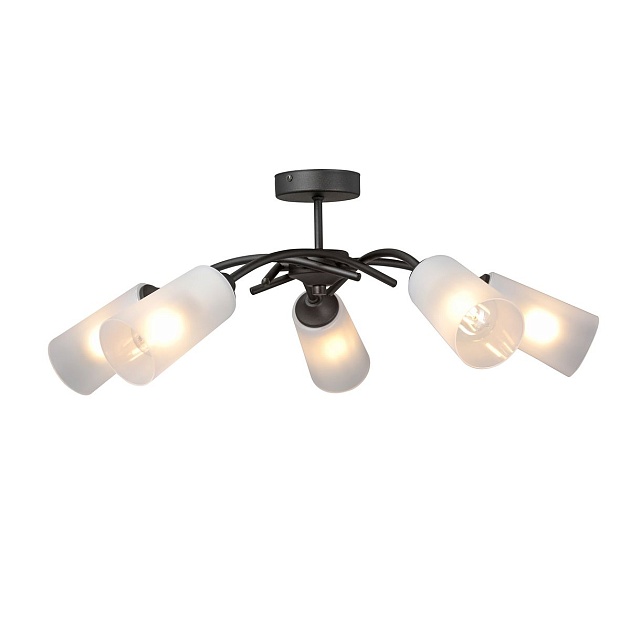 Потолочная люстра Vitaluce V2850-1/5PL Фото № 2