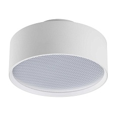 Светильник накладной Lightstar Acuto 215936