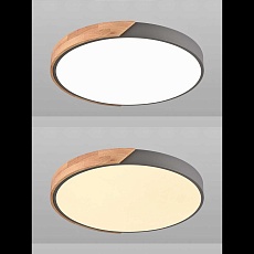 Потолочная люстра Natali Kovaltseva LED LAMPS 81183 2