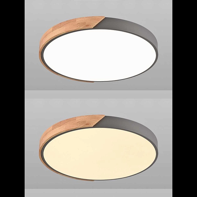 Потолочная люстра Natali Kovaltseva LED LAMPS 81183 Фото № 3