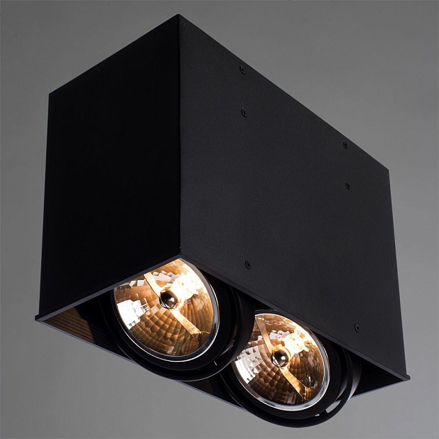 Потолочный светильник Arte Lamp Cardani A5936PL-2BK Фото № 5