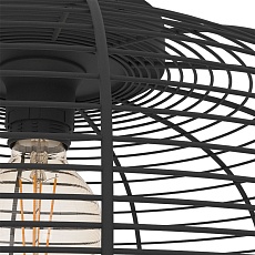 Потолочный светильник Eglo Rinroe 43896 2