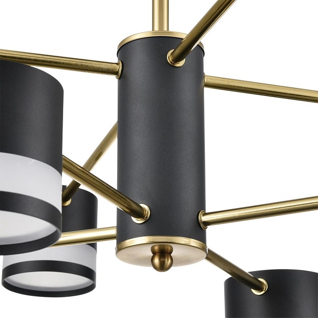 Потолочная люстра Lumion Comfi Lanika 8240/8C изображение 7 Потолочная люстра Lumion Comfi Lanika 8240/8C Фото № 7