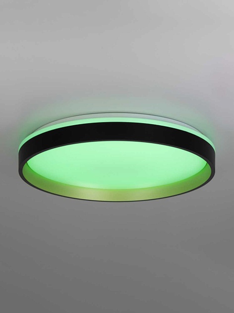 Светильник потолочный Citilux ENZO CL753451G Фото № 12