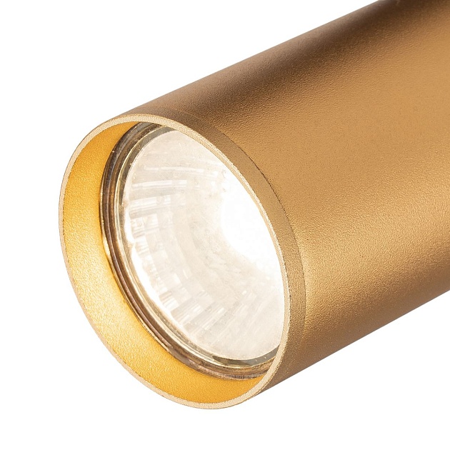 Трековый светильник Escada 20001TRA/01 BR Фото № 3