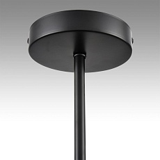 Потолочная люстра Lumion County Tidina 8238/8C 3