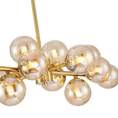 Подвесная люстра Favourite Varietas 2649-14P 5