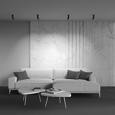 Потолочный светодиодный светильник Maytoni Technical Dafne C027CL-L10B4K 1