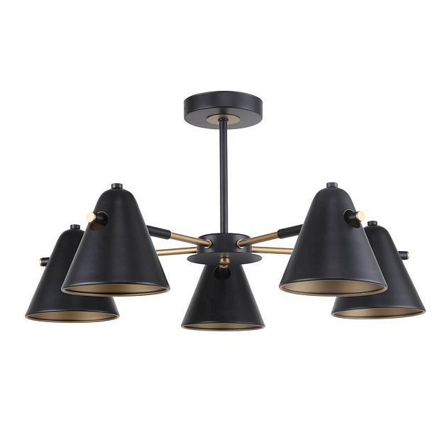 Потолочная люстра F-Promo Rigor 2844-5P Фото № 2