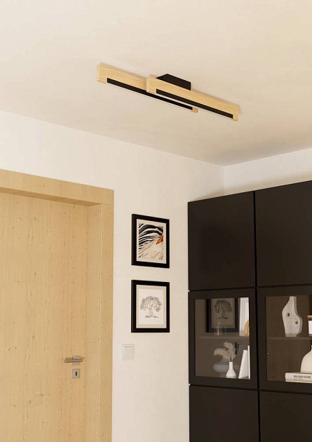 Потолочный светодиодный светильник Eglo Camacho 901736 изображение 4 Потолочный светодиодный светильник Eglo Camacho 901736 Фото № 4