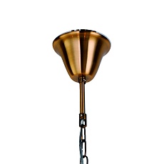 Подвесная люстра Favourite Assembly 2060-7P 2