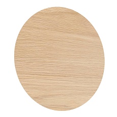 Настенный светодиодный светильник Eglo Alamilo 901739 2