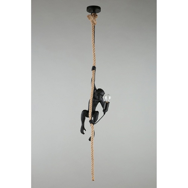 Подвесной светильник Aployt Magali APL.309.16.01 изображение 3 Подвесной светильник Aployt Magali APL.309.16.01 Фото № 3