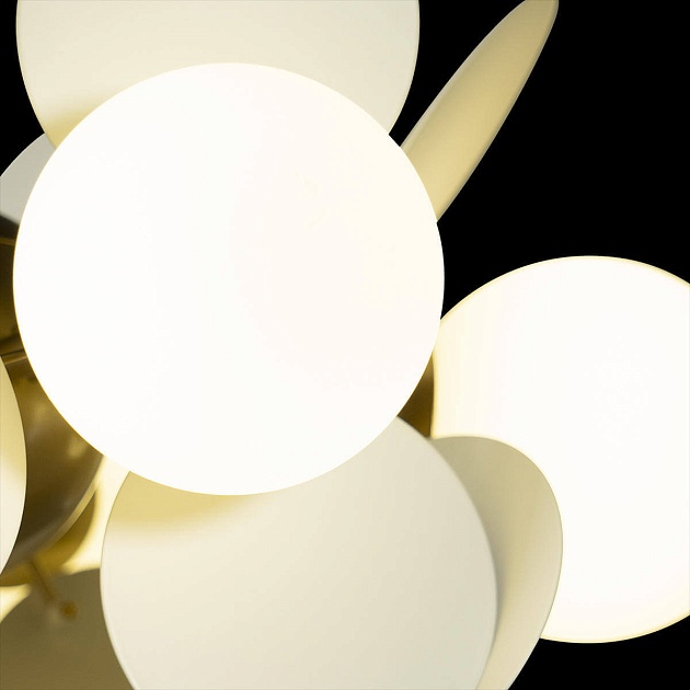 Подвесная люстра Loft IT Matisse 10008/6 White Фото № 6
