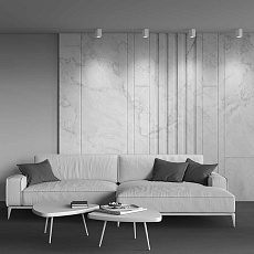 Потолочный светильник Maytoni Alfa C011CL-01W 1