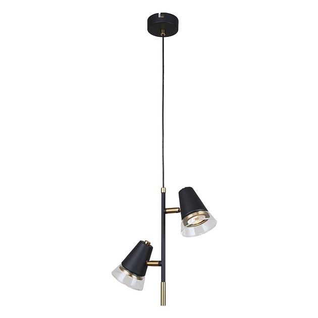 Подвесная люстра F-Promo Trandy 4618-2P изображение 1 Подвесная люстра F-Promo Trandy 4618-2P Фото № 1