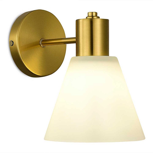 Настенный светильник Evoluce ARKI SLE1561-301-01 Фото № 1