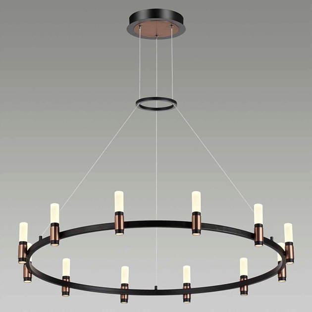 Подвесная светодиодная люстра Odeon Light Candel 5009/48L Фото № 4