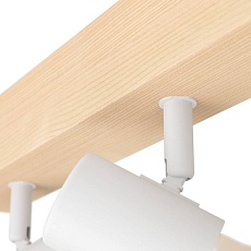 Спот Eglo Townshend 3 99484 1