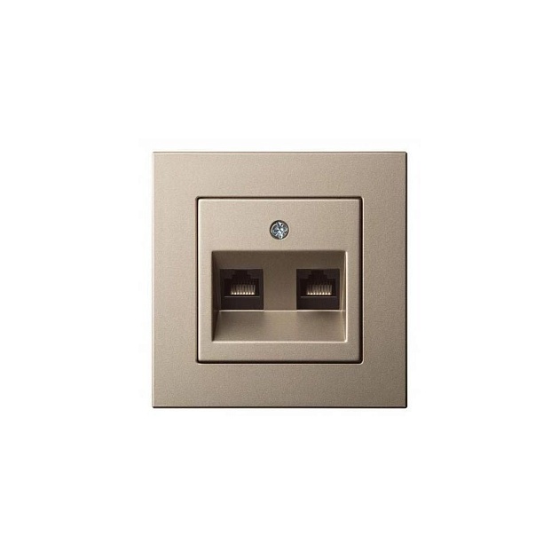 Розетка 2хRJ45 Liregus Epsilon шампань 28-3162 изображение 1 Розетка 2хRJ45 Liregus Epsilon шампань 28-3162 Фото № 1