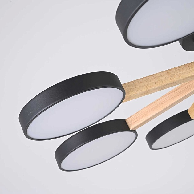 Люстра Imperium Loft TURNA01 178341-26 Фото № 8