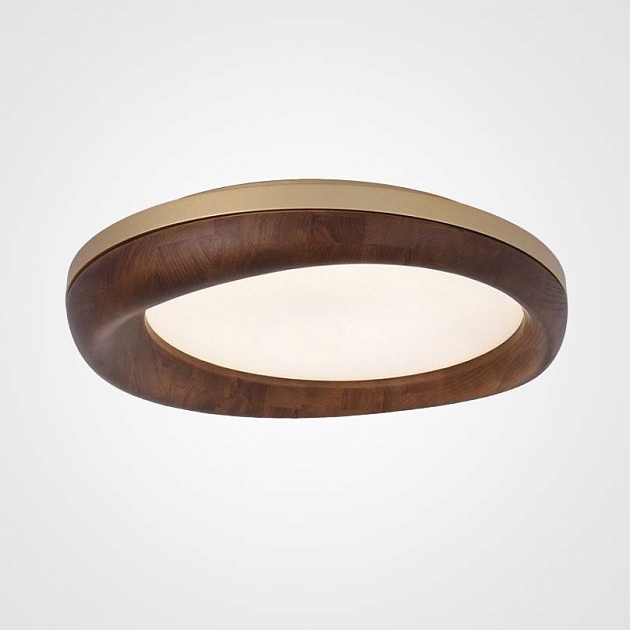 Потолочный светодиодный светильник Imperium Loft Runis 219474-26 Фото № 1