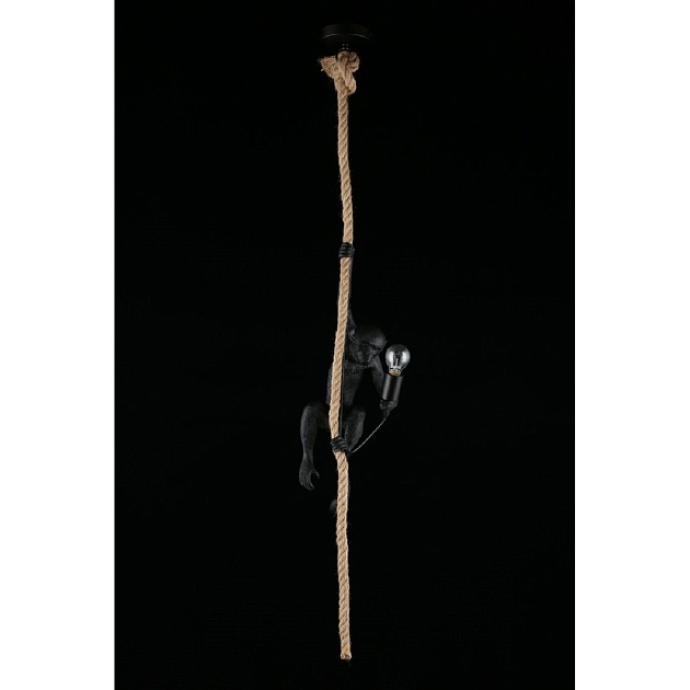 Подвесной светильник Aployt Magali APL.309.16.01 изображение 9 Подвесной светильник Aployt Magali APL.309.16.01 Фото № 9