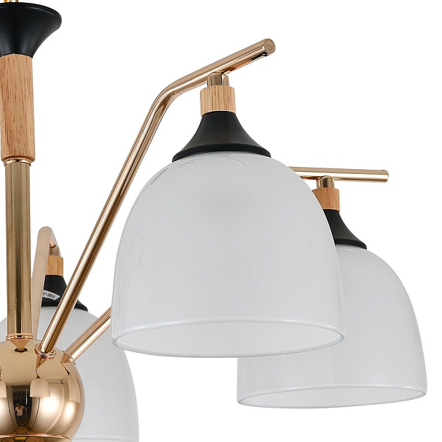 Подвесная люстра Escada Actinidia 2123/5P Фото № 2