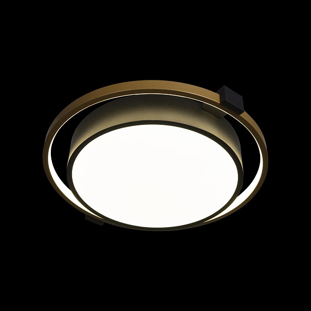 Потолочный светодиодный светильник Loft IT Mike 10169 Фото № 2