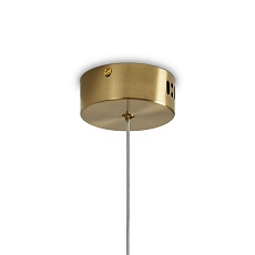 Подвесной светодиодный светильник Freya Lolli FR6139PL-L8BS 1