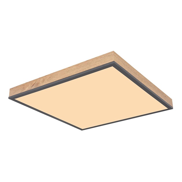 Потолочный светодиодный светильник Globo Doro 416080WD2 Фото № 1