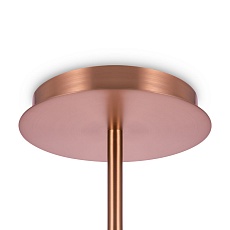 Подвесная люстра Maytoni Erich MOD221-PL-12-G 1