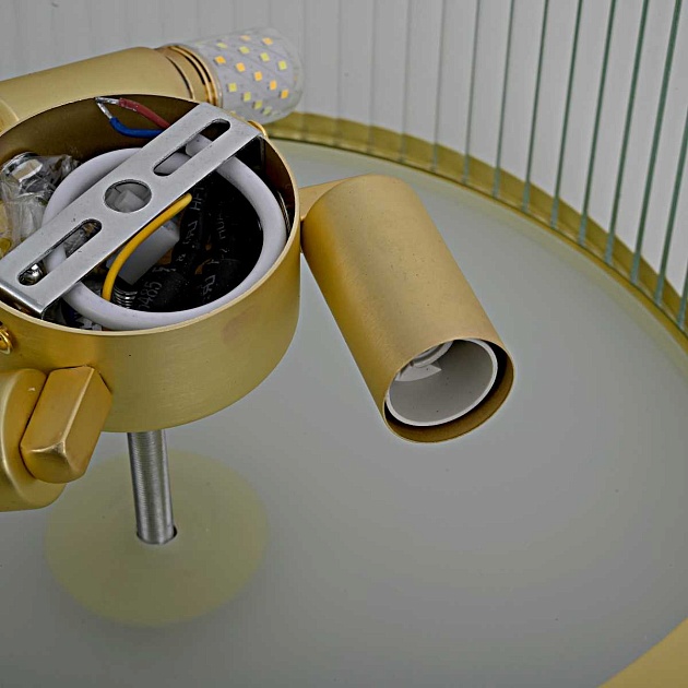 Потолочный светильник Imperium Loft Venus 167744-26 Фото № 7