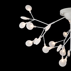 Потолочная люстра Freya Florencia FR5049CL-36W1 5