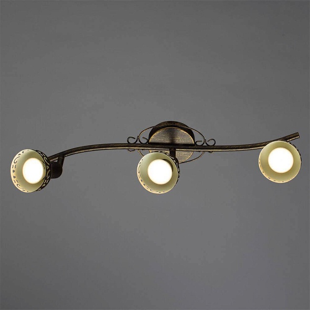 Спот Arte Lamp Focus A5219PL-3BR изображение 2 Спот Arte Lamp Focus A5219PL-3BR Фото № 2
