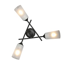 Потолочная люстра Vitaluce V2850-1/3PL 4