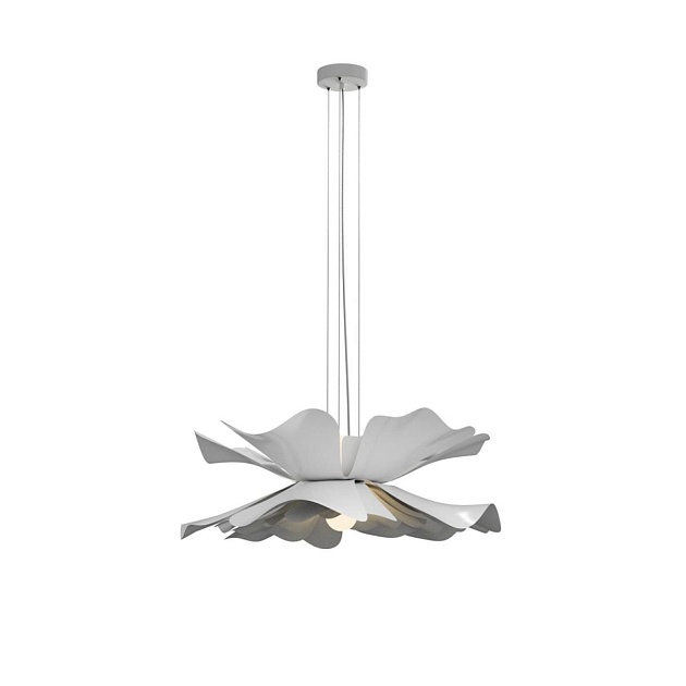 Подвесная люстра Lightera Chad LE116L-55W Фото № 13