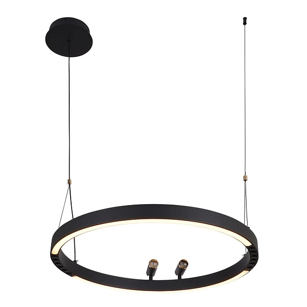 Подвесная светодиодная люстра F-Promo Slinga 4474-1P изображение 6 Подвесная светодиодная люстра F-Promo Slinga 4474-1P Фото № 6