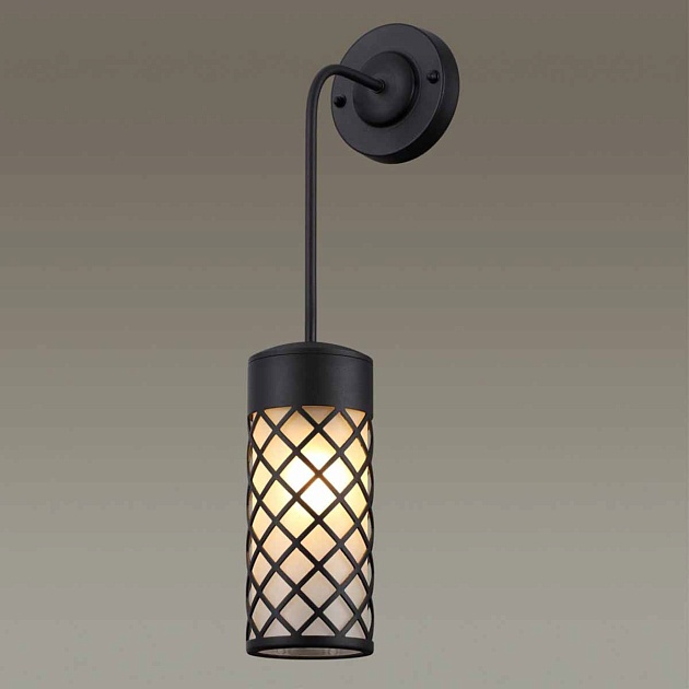 Уличный настенный светильник Odeon Light Nature Dunes 4834/1W Фото № 3