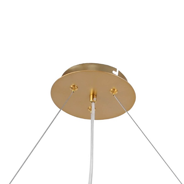 Подвесная люстра F-Promo Multy Bliss 2772-12P изображение 3 Подвесная люстра F-Promo Multy Bliss 2772-12P Фото № 3