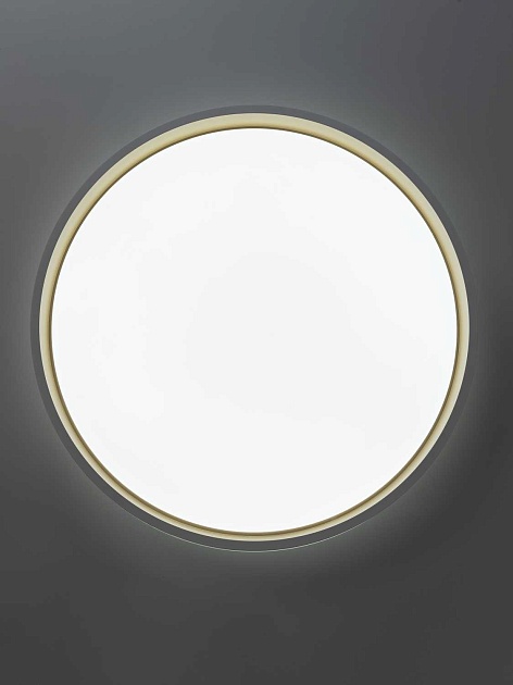 Светильник потолочный Citilux ENZO CL753450G Фото № 10