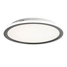 Потолочный светодиодный светильник Zortes Galo ZRS.10112.01