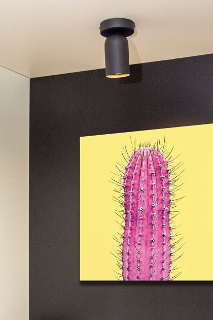 Спот Lucide Punch 13958/01/30 Фото № 4