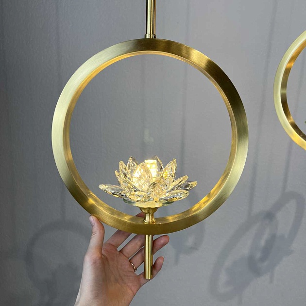 Подвесной светильник Imperium Loft Lotos One 177900-26 изображение 11 Подвесной светильник Imperium Loft Lotos One 177900-26 Фото № 11