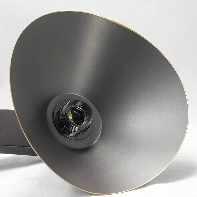 Потолочная люстра Lussole Loft LSP-9534 Фото № 4