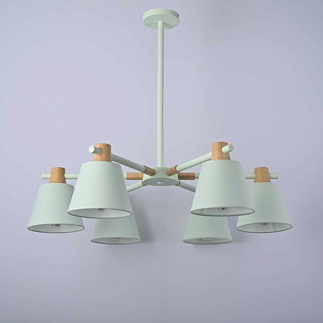 Подвесная люстра Imperium Loft Natura 177991-26 Фото № 2