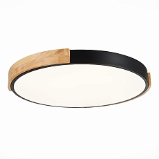 Потолочный сетодиодный светильник Evoluce Delia SLE201342-01 3